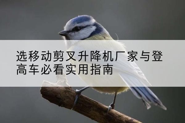 龙江电动升降机厂家-选移动剪叉升降机厂家与登高车必看实用指南