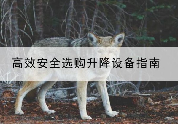 龙江升降货梯厂家推荐-*安全选购升降设备指南